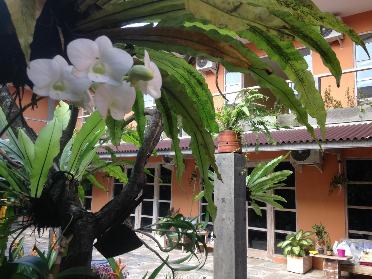 Canggu Pinpoint Rooms Dış mekan fotoğraf